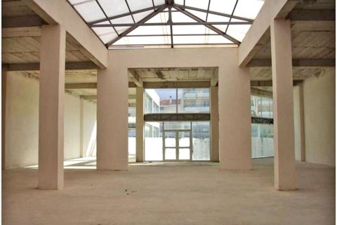 2930m² Building in Markopoulo Mesogaias, Greece No. 59689 4