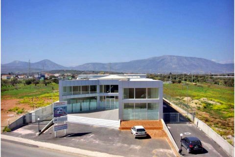2930m² Building in Markopoulo Mesogaias, Greece No. 59689 2