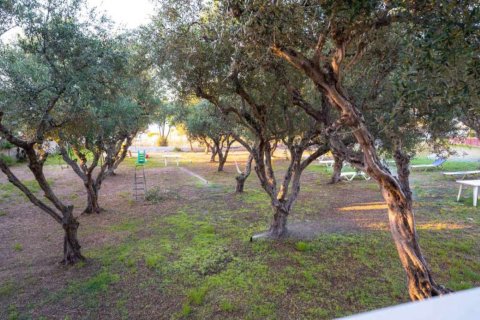 Отель, гостиница с 12 спальнями в Закинтос, Греция №69593 22