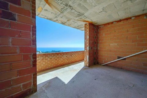 280m² Land in Ban Xeo, Vietnam No. 83772 12