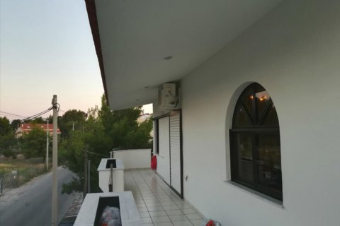 550m² Bâtiment à Agios Stefanos, Greece No. 57418 3