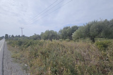 5100m² Land in Chalkidiki, Greece No. 108238 4