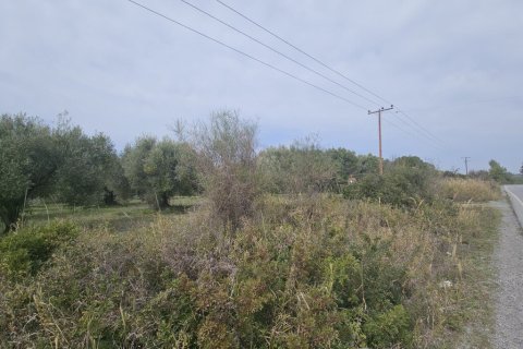 5100m² Land in Chalkidiki, Greece No. 108238 3