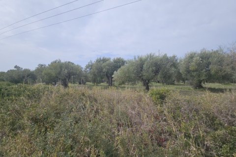 5100m² Land in Chalkidiki, Greece No. 108238 1