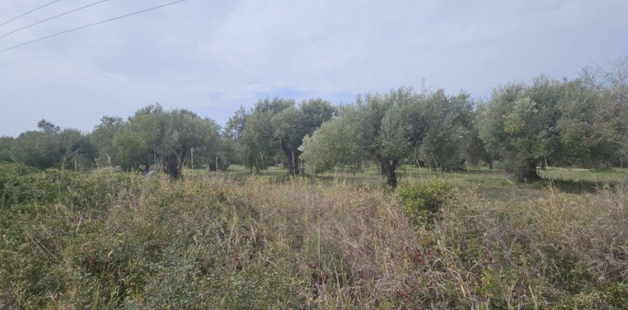 5100m² Land in Chalkidiki, Greece No. 108238