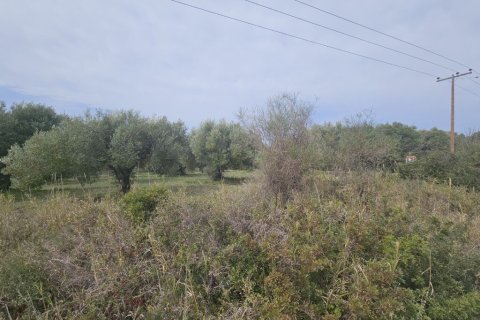 5100m² Land in Chalkidiki, Greece No. 108238 2