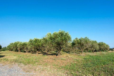 3 bedrooms House in Epanomi, Greece No. 58026 4