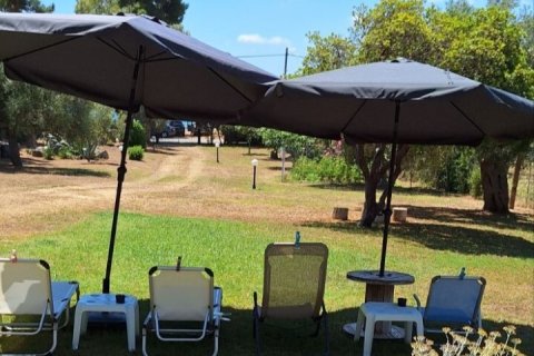 2 bedrooms House in Polygyros, Greece No. 109042 30