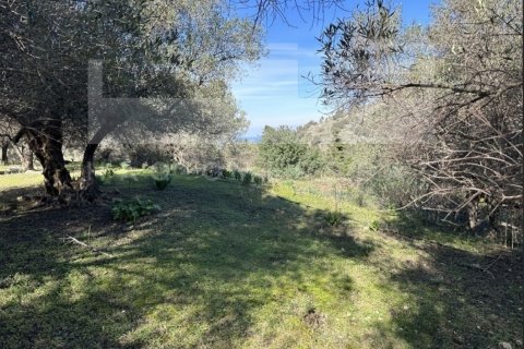 3 bedrooms Villa in Crete, Greece No. 24434 5