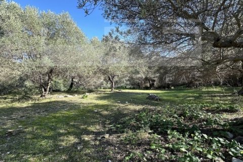 3 bedrooms Villa in Crete, Greece No. 24434 7