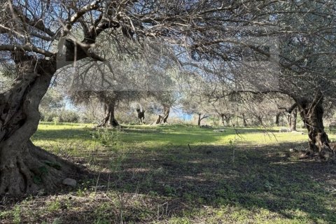 3 bedrooms Villa in Crete, Greece No. 24434 8