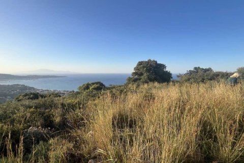 Земельный участок в Закинтос, Греция №78733 12