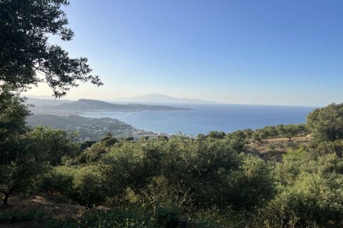 Земельный участок в Закинтос, Греция №78733 3