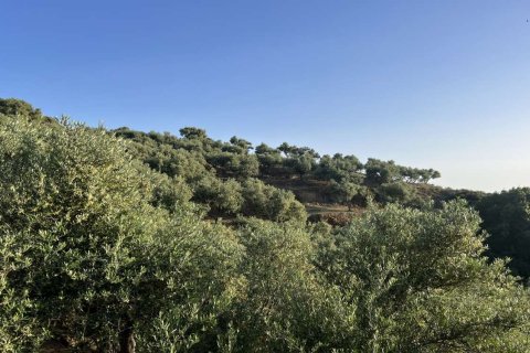 Земельный участок в Закинтос, Греция №78733 23