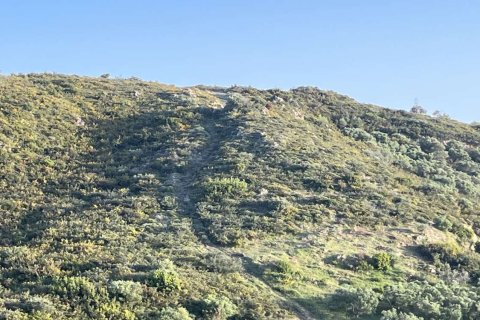 Земельный участок в Закинтос, Греция №78733 15