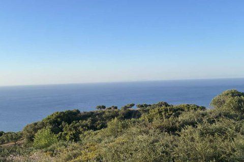 Земельный участок в Закинтос, Греция №78733 7