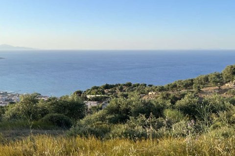 Земельный участок в Закинтос, Греция №78733 17