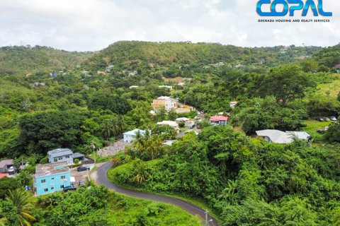 2709.05m² Land in Saint George South, Grenada No. 107175 5