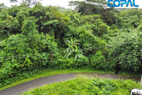 2709.05m² Land in Saint George South, Grenada No. 107175 6