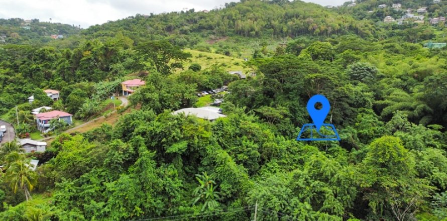 2709.05m² Land in Saint George South, Grenada No. 107175