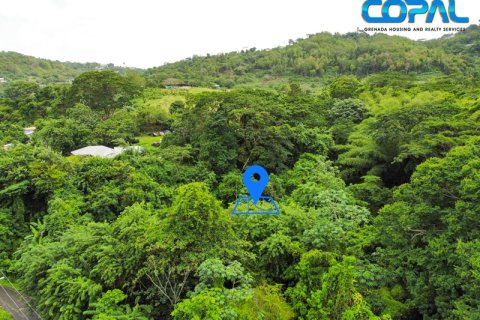 2709.05m² Land in Saint George South, Grenada No. 107175 4