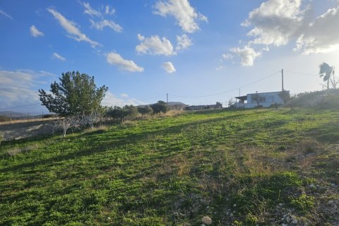 Дом с 1 спальней в Ираклион, Греция №121313 13