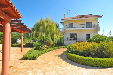 5 bedrooms House in Xylokastro, Greece No. 59638 8