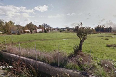 Hotel in Zakynthos, Greece No. 104868 2