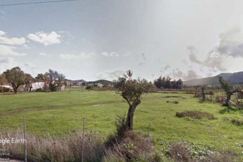 Hotel in Zakynthos, Greece No. 104868 12