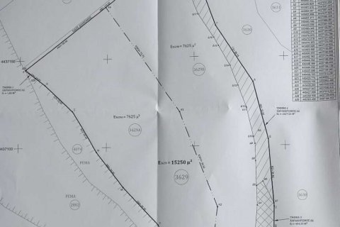 15250m² Land à Chalkidiki, Greece No. 107876 2