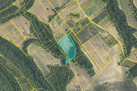 15250m² Land à Chalkidiki, Greece No. 107876 3