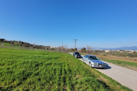 5500m² Land in Thessaloniki, Greece No. 108309 3