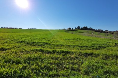 5500m² Land in Thessaloniki, Greece No. 108309
