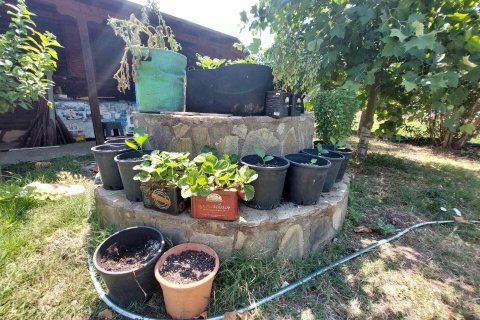 100m² House in Chalkidiki, Greece No. 107523 28