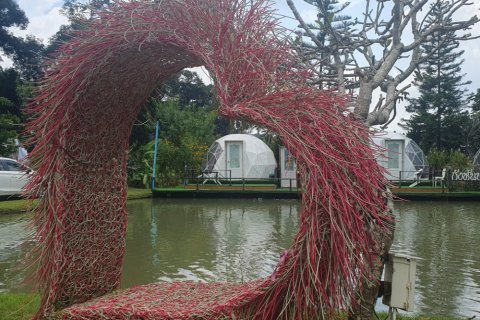 19 bedrooms Commercial property in Chiang Mai, Thailand No. 97575 16