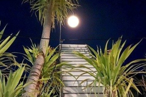 19 bedrooms Commercial property in Chiang Mai, Thailand No. 97575 7