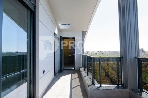 5 rooms Villa in Dao Huu Canh, Vietnam No. 12503 8