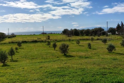 4 dormitorios House en Epanomi, Greece No. 123579 14