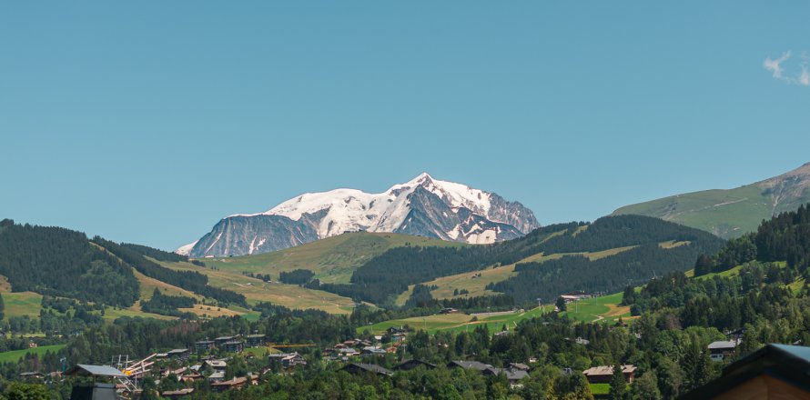 5 chambres House à Megève, France No. 99868