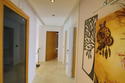 5 rooms Villa in Lien Chieu, Vietnam No. 20495 4