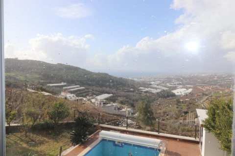 5 rooms Villa in Lien Chieu, Vietnam No. 20495 8