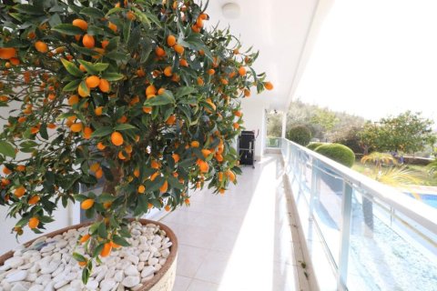 5 rooms Villa in Lien Chieu, Vietnam No. 20495 24