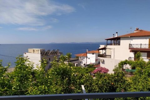 Отель, гостиница 386м² в Халкидики, Греция №107346 5