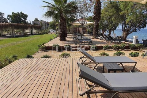 2 bedrooms Villa in Phi Dien, Vietnam No. 11088 29