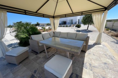 5 chambres Bungalow à Paphos, Cyprus No. 37481 12