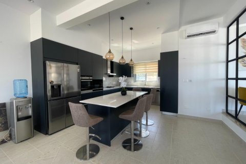 5 chambres Bungalow à Paphos, Cyprus No. 37481 23