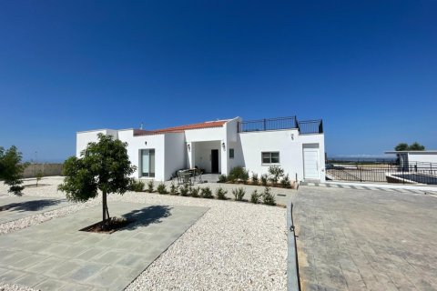 5 chambres Bungalow à Paphos, Cyprus No. 37481 3