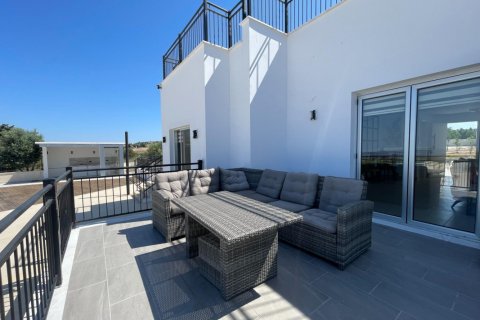 5 chambres Bungalow à Paphos, Cyprus No. 37481 16