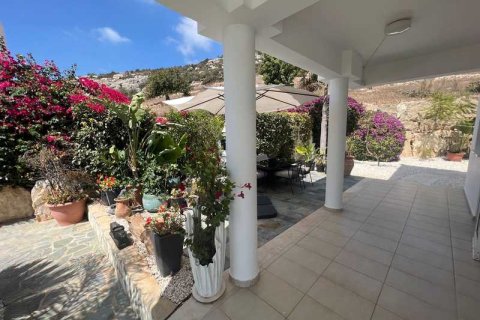 4 dormitorios Villa en Pegeia, Cyprus No. 63547 8