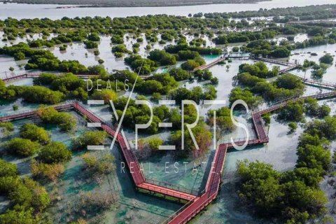 954m² Land en Al Hudayriat Island, UAE No. 128503